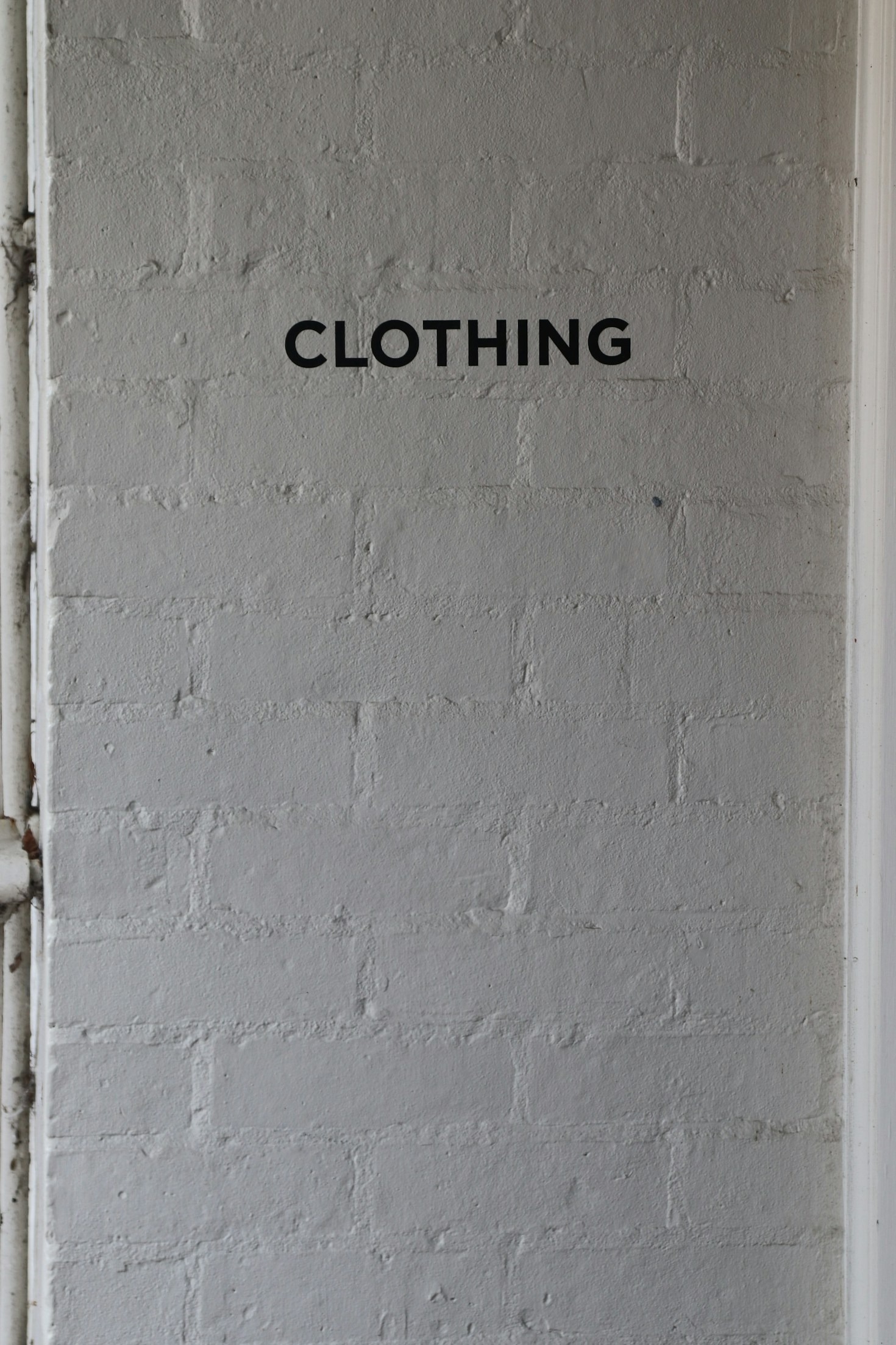 Curated Trends: What’s Hot This Season